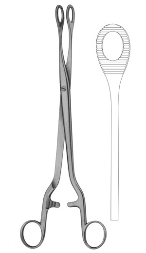 Noto Forceps 280mm