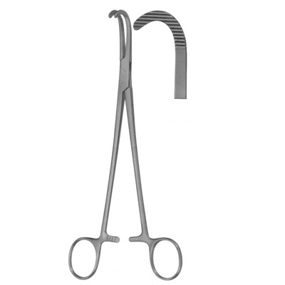 Desjardins Dissecting Forceps 220mm